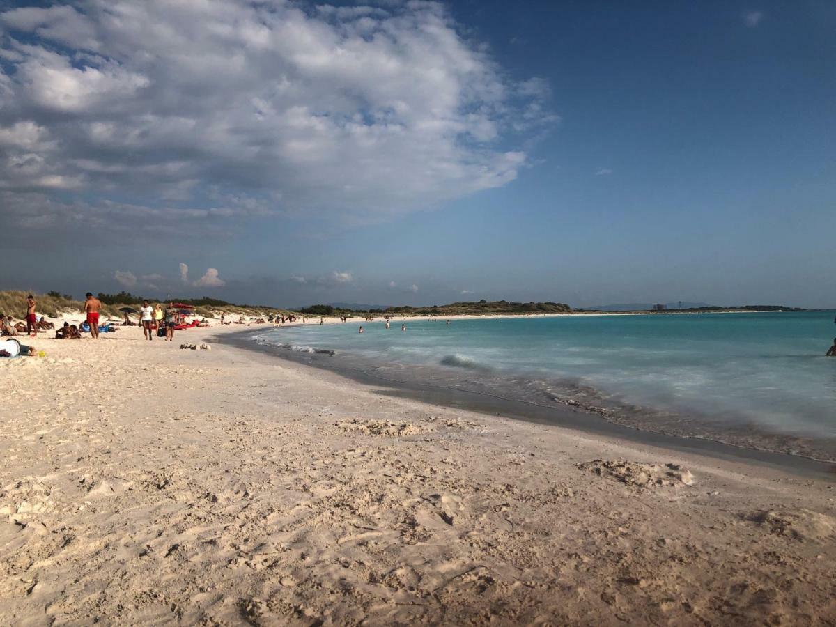 Casa In Campagna A Due Passi Dal Mare Pisa Kültér fotó